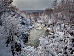 St. John's, Rennie's River in Winter